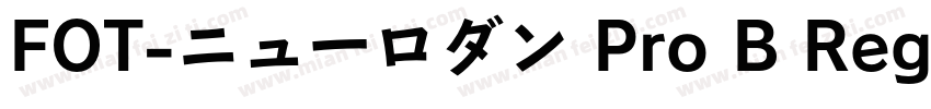 FOT-ニューロダン Pro B Reg字体转换